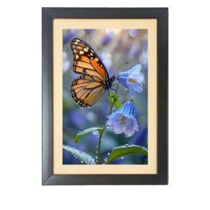 The beautiful butterfly Photo Frame Funny Animal and Bird Cartoon Art, Black color, 17x21 Inch The beautiful butterfly Photo Frame Funny Animal and Bird Cartoon Art, Black color, 17x21 Inch