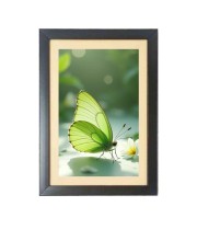 The green butterfly Black Photo Frame Funny Animal and Bird Cartoon Art