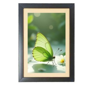 The green butterfly Black Photo Frame Funny Animal and Bird Cartoon Art