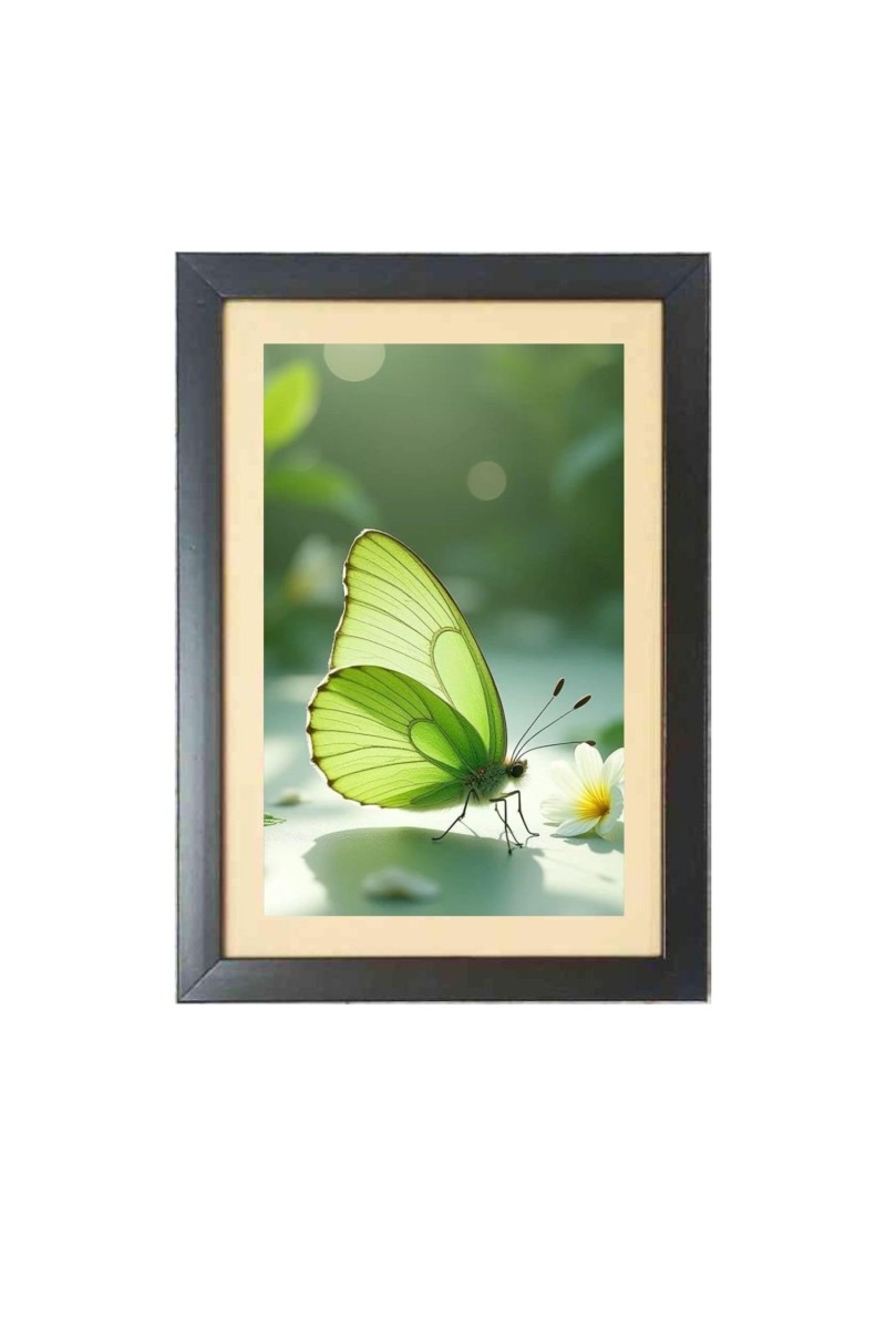 The green butterfly Photo Frame Funny Animal and Bird Cartoon Art, Black color, 11x15 Inch