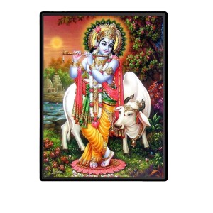 Sri Krishna Laminated Photo (9x11 Inches) Divine Blessings for Home & Office and Temple Decoration