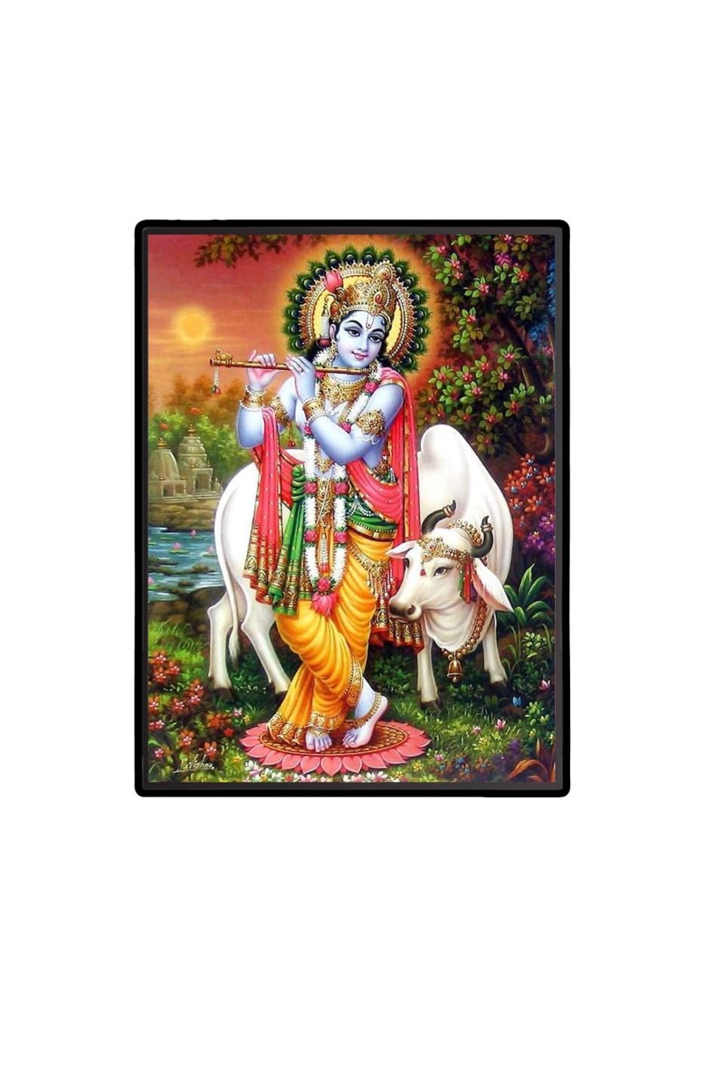 Sri Krishna Laminated Photo (9x11 Inches) Divine Blessings for Home & Office and Temple Decoration