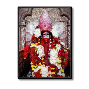 Tara Ma Laminated Photo (11x13 Inches Without glass) Divine Blessings for Table and Walls,Home & Office and Temple Decoration