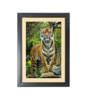 The tiger in the forest Photo Frame Funny Animal and Bird Cartoon Art, Black color, 11x15 Inch