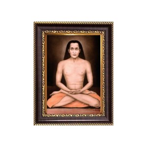 Mahavatar Babaji Digital Print Photo 6.7x8.7 inches - Vibrant Religious Wall Art for Home or Office Decor.