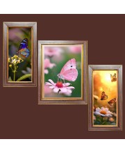 3-Pack The beautiful butterflies Photo Frames - 2 Pieces 10x17 Inch & 1 Piece 14x17 Inch - Rustic Wall Art for Home & Office Decor - Botanical Wall Hanging for Living Room, Bedroom, or Workspace 3-Pack The beautiful butterflies Photo Frames - 2 Pieces 10x17 Inch & 1 Piece 14x17 Inch - Rustic Wall Art for Home & Office Decor - Botanical Wall Hanging for Living Room, Bedroom, or Workspace