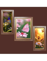 3-Pack The beautiful butterflies Photo Frames - 2 Pieces 12x19 Inch & 1 Piece 16x19 Inch - Rustic Wall Art for Home & Office Decor - Botanical Wall Hanging for Living Room, Bedroom, or Workspace
