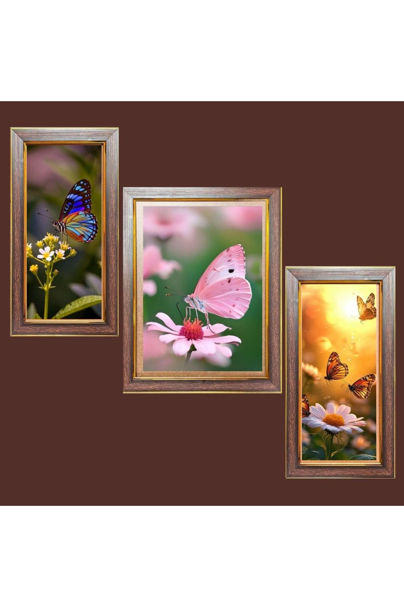 3-Pack The beautiful butterflies Photo Frames - 2 Pieces 12x19 Inch & 1 Piece 16x19 Inch - Rustic Wall Art for Home & Office Decor - Botanical Wall Hanging for Living Room, Bedroom, or Workspace