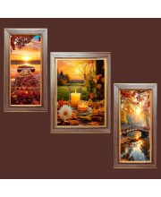 3-Pack Beneath the Sky, Beyond Time Photo Frames - 2 Pieces 6x13 Inch & 1 Piece 10x13 Inch - Rustic Wall Art for Home & Office Decor - Botanical Wall Hanging for Living Room, Bedroom, or Workspa