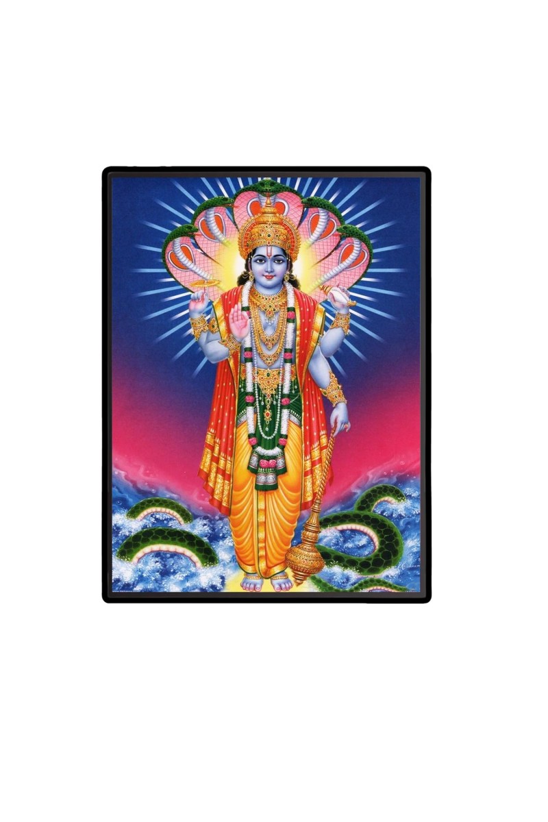 Vishnu Laminated Photo - 5x7 Inches, Divine Blessings for Home & Office and Temple Decoration