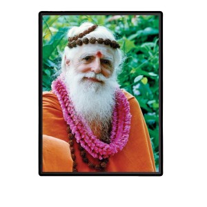 Satguru Sivaya Subramuniyaswami Laminated Photo - 5x7 Inches, Divine Blessings for Home & Office and Temple Decoration Satguru Sivaya Subramuniyaswami Laminated Photo - 5x7 Inches, Divine Blessings for Home & Office and Temple Decoration