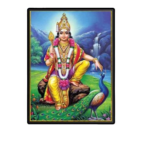 Kartikeya Laminated Photo - 5x7 Inches, Divine Blessings for Home & Office and Temple Decoration Kartikeya Laminated Photo - 5x7 Inches, Divine Blessings for Home & Office and Temple Decoration