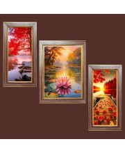 3-Pack Chasing Sunsets, Catching Stars Photo Frames - 2 Pieces 14x21 Inch & 1 Piece 18x21 Inch - Rustic Wall Art for Home & Office Decor - Botanical Wall Hanging for Living Room, Bedroom, or Wor