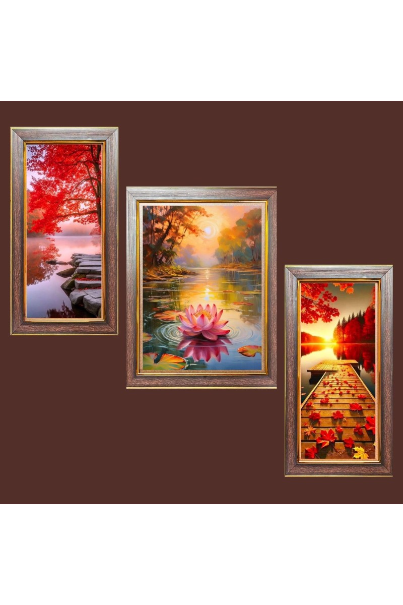 3-Pack Chasing Sunsets, Catching Stars Photo Frames - 2 Pieces 6x13 Inch & 1 Piece 10x13 Inch - Rustic Wall Art for Home & Office Decor - Botanical Wall Hanging for Living Room, Bedroom, or Work