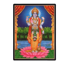 Vishnu Laminated Photo - 5x7 Inches, Divine Blessings for Home & Office and Temple Decoration