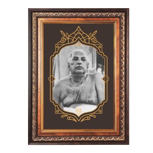 Sri Anukul Chandra Thakur Color Photo 10x14 Inch - Vibrant Religious Wall Art for Home or Office Decor.