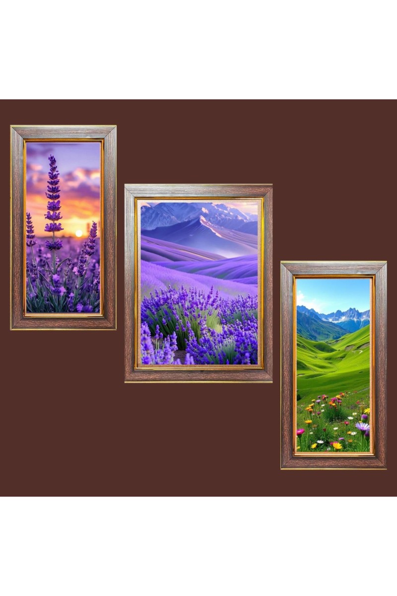 3-Pack The Canvas of Nature Photo Frames - 2 Pieces 8x15 Inch & 1 Piece 12x15 Inch - Rustic Wall Art for Home & Office Decor - Botanical Wall Hanging for Living Room, Bedroom, or Workspace