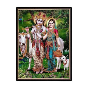 Sri Radha Lord Krishna Laminated Photo - 11x13 Inches, Divine Blessings for Home & Office and Temple Decoration Sri Radha Lord Krishna Laminated Photo - 11x13 Inches, Divine Blessings for Home & Office and Temple Decoration