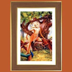 Sri Chaitanya Mahaprabhu Photo Frame - 10x14 Inches, Brown Wooden Frame for Home, Office & Temple Decoration Sri Chaitanya Mahaprabhu Photo Frame - 10x14 Inches, Brown Wooden Frame for Home, Office & Temple Decoration