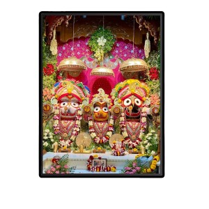 Sri Jagannath Maha Pravu Laminated Photo (9x11 Inches Without glass) Divine Blessings for Table and Walls,Home & Office and Temple Decoration Sri Jagannath Maha Pravu Laminated Photo (9x11 Inches Without glass) Divine Blessings for Table and Walls,Home & Office and Temple Decoration
