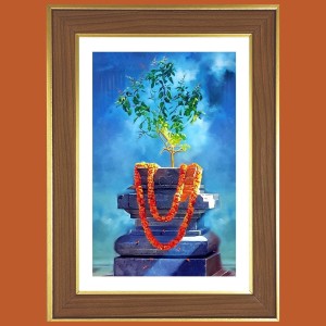 Tulasi Plant Photo Frame - 10x14 Inches, Brown Wooden Frame for Home, Office & Temple Decoration Tulasi Plant Photo Frame - 10x14 Inches, Brown Wooden Frame for Home, Office & Temple Decoration