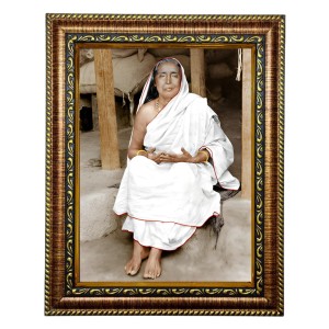 HiTech SalesMaa Devi Sarada ji photo frame for wall hanging/gift/temple/puja room/home decor with PVC Frame & Front Face - Glass (10 x 8 in)