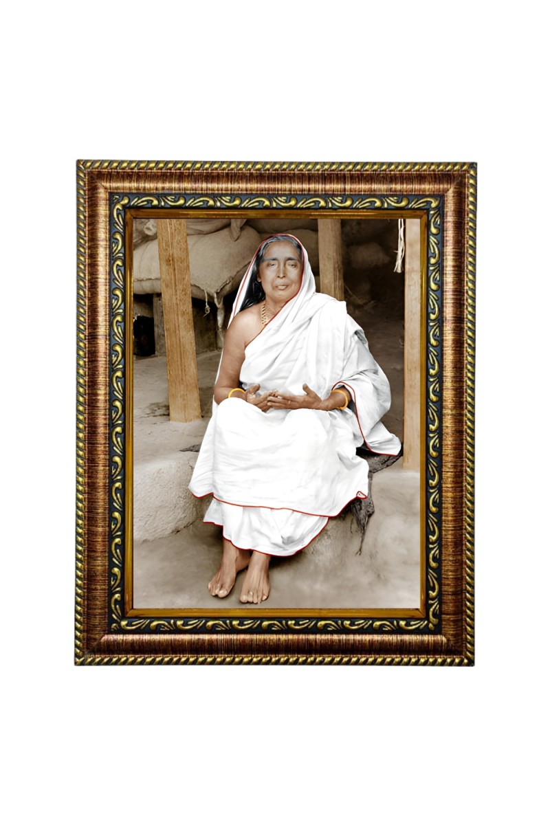 HiTech SalesMaa Devi Sarada ji photo frame for wall hanging/gift/temple/puja room/home decor with PVC Frame & Front Face - Glass (10 x 8 in)