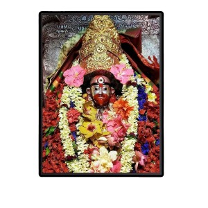 Tara Laminated Photo - 5x7 Inches, Divine Blessings for Home & Office and Temple Decoration