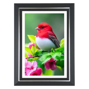 Summer Tanager Photo Wall & Table Frame | 10x14 Inch Black Designer | Perfect For Gifting & Home Decor (F9649) Summer Tanager Photo Wall & Table Frame | 10x14 Inch Black Designer | Perfect For Gifting & Home Decor (F9649)