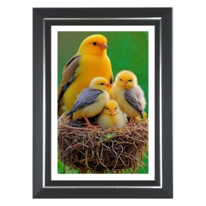 Yellow Canary Photo Wall & Table Frame | 10x14 Inch Black Designer | Perfect For Gifting & Home Decor (F9613) Yellow Canary Photo Wall & Table Frame | 10x14 Inch Black Designer | Perfect For Gifting & Home Decor (F9613)