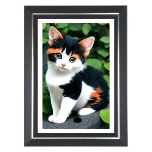 Cat Photo Wall & Table Frame | 10x14 Inch Black Designer | Perfect For Gifting & Home Decor (F9653)