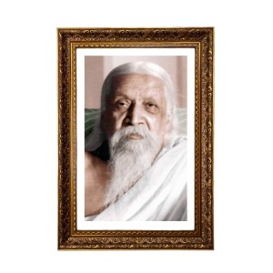 Sri Aurobindo Big Photo Frame - 20x28 Inches For Home,Temple & Office Decoration (F11293)