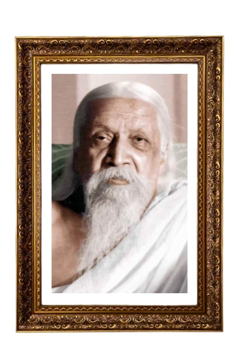 Sri Aurobindo Big Photo Frame - 20x28 Inches For Home,Temple & Office Decoration (F11293)