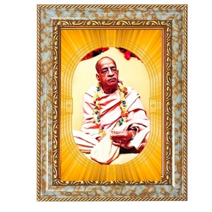 A.C. Bhaktivedanta Swami Prabhupada Spiritual Guru Digital Photo In Designer Frame, Size 16x20 Inch | Hindu Religious Picture For Home Temple, Office & Gift | Wall Art & Pooja Decor (F10483)