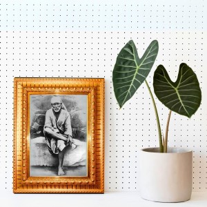 Shirdi Sai Baba Golden Designer Photo Frame | 10x14 Inch Religious Wall Hanging Frame For Home & Office Decoration | Hindu Deity Spiritual Gift Item Shirdi Sai Baba Golden Designer Photo Frame | 10x14 Inch Religious Wall Hanging Frame For Home & Office Decoration | Hindu Deity Spiritual Gift Item