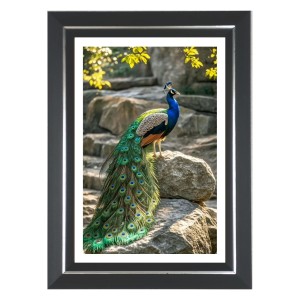 Peacock Photo Wall & Table Frame | 14x18 Inch Black Designer | Perfect For Gifting & Home Decor (F9611) Peacock Photo Wall & Table Frame | 14x18 Inch Black Designer | Perfect For Gifting & Home Decor (F9611)