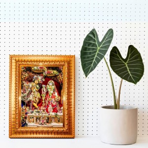 Radha And Krishna Golden Designer Photo Frame | 10x14 Inch Religious Wall Hanging Frame For Home & Office Decoration | Hindu Deity Radha And Krishna Spiritual Gift Item Radha And Krishna Golden Designer Photo Frame | 10x14 Inch Religious Wall Hanging Frame For Home & Office Decoration | Hindu Deity Radha And Krishna Spiritual Gift Item