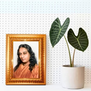 Lord Ganesha Golden Designer Photo Frame | 16x20 Inch Religious Wall Hanging Frame For Home, Office Decoration and Spiritual Gift Item (M2) Lord Ganesha Golden Designer Photo Frame | 16x20 Inch Religious Wall Hanging Frame For Home, Office Decoration and Spiritual Gift Item (M2)