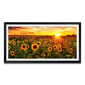 Nature Landscape Floating Frame Scenery Digital Print - (I5598) - 12x24 inch Modern Nature Wall Art for Living Room, Bedroom, Office, Hotels, Drawing Room Nature Landscape Floating Frame Scenery Digital Print - (I5598) - 12x24 inch Modern Nature Wall Art for Living Room, Bedroom, Office, Hotels, Drawing Room
