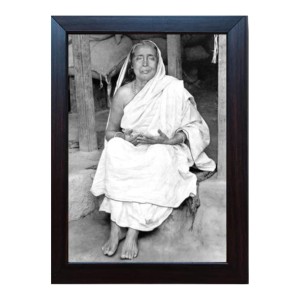 Hitech Maa Sarada Laminated photo frame for table, Study & living room, gifts (Pvc Frame and Front face - Glass, 8 x 6 inch)