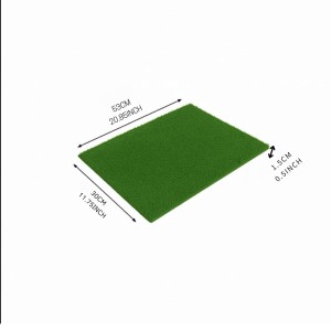 Hitech Sales, Premium Non-Slip Door Mat for Indoor & Outdoor Use – Water-Absorbent and Easy to Clean (Green) Hitech Sales, Premium Non-Slip Door Mat for Indoor & Outdoor Use – Water-Absorbent and Easy to Clean (Green)