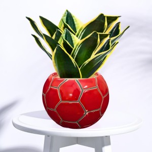 Red Ceramic Flower Pot for Indoor Plants | Handcrafted Decorative Plant Pot for Home, Office & Table Decor (only Pot) Red Ceramic Flower Pot for Indoor Plants | Handcrafted Decorative Plant Pot for Home, Office & Table Decor (only Pot)