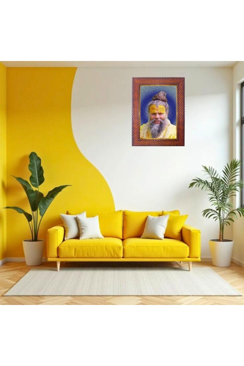 Adi Shankaracharya Photo Frame 19X23 Inch Religious Wall & Table Decor Frame | Adi Shankaracharya Spiritual Photo Frame For Home, Temple & Office (F18322X19X23)