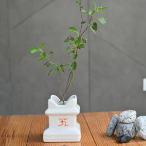 HI TECH Sales Tulsi Ceramic Mandir | Traditional Tulsi Plant Pot with Om & Swastik Symbols | Sacred Hindu Planter for Home & Temple Use(White) HI TECH Sales Tulsi Ceramic Mandir | Traditional Tulsi Plant Pot with Om & Swastik Symbols | Sacred Hindu Planter for Home & Temple Use(White)