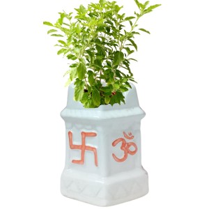 Tulsi Planter Garden Decorative Pot Ghamla for Home Outdoor Indoor Balcony Terrace Decoration. Tulsi Planter Garden Decorative Pot Ghamla for Home Outdoor Indoor Balcony Terrace Decoration.