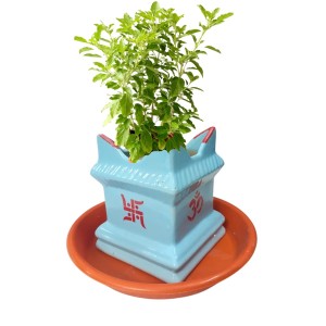 Tulsi Planter Pot with Tray for Home Balcony Indoor Outdoor Garden Decorative Durable Plastic Pot for Holy Basil Plant Tulsi Planter Pot with Tray for Home Balcony Indoor Outdoor Garden Decorative Durable Plastic Pot for Holy Basil Plant