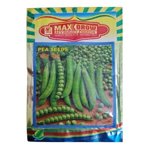 Capsicum Hybrid Seeds Shimla Mirch