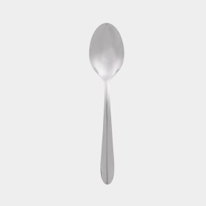 Stainless Steel Spoon, 6.3 in (Pack of 4) Stainless Steel Spoon, 6.3 in (Pack of 4)