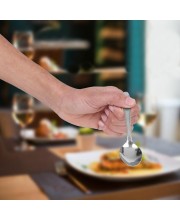 Stainless Steel Spoon, 5.2 in Length (Pack of 4) Stainless Steel Spoon, 5.2 in Length (Pack of 4)