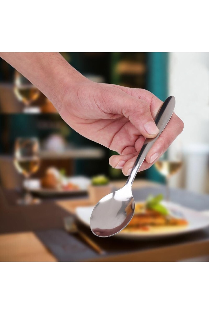 Stainless Steel Spoon, 6.3 in (Pack of 4)